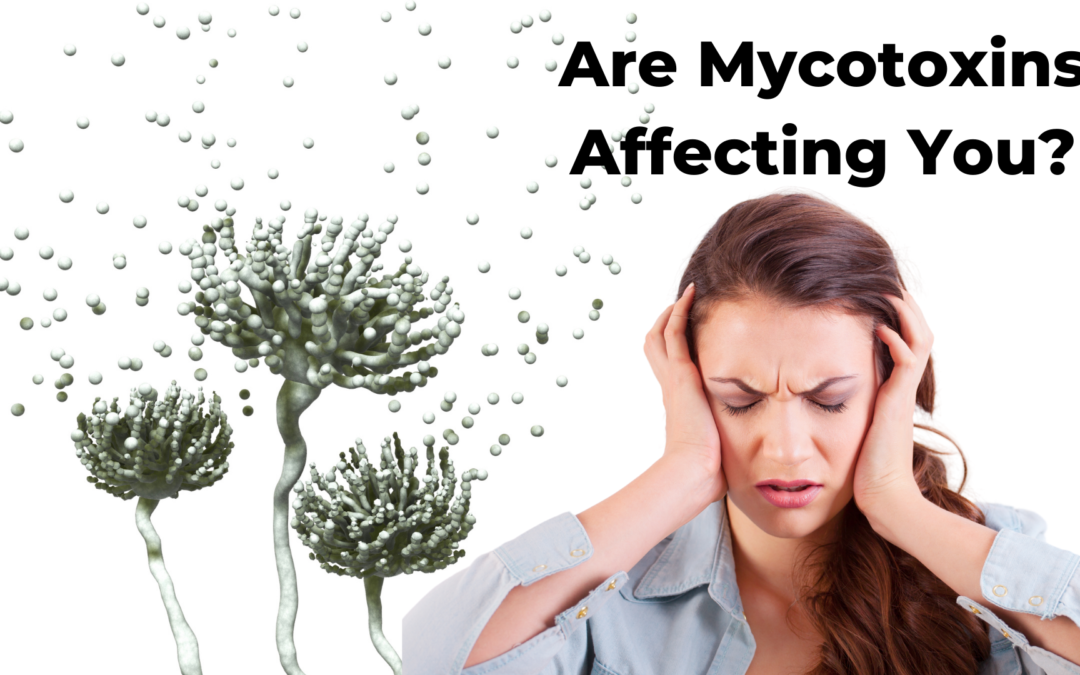 Beyond Mold: The Dangers of Mycotoxins for Your Brain