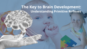 brain development