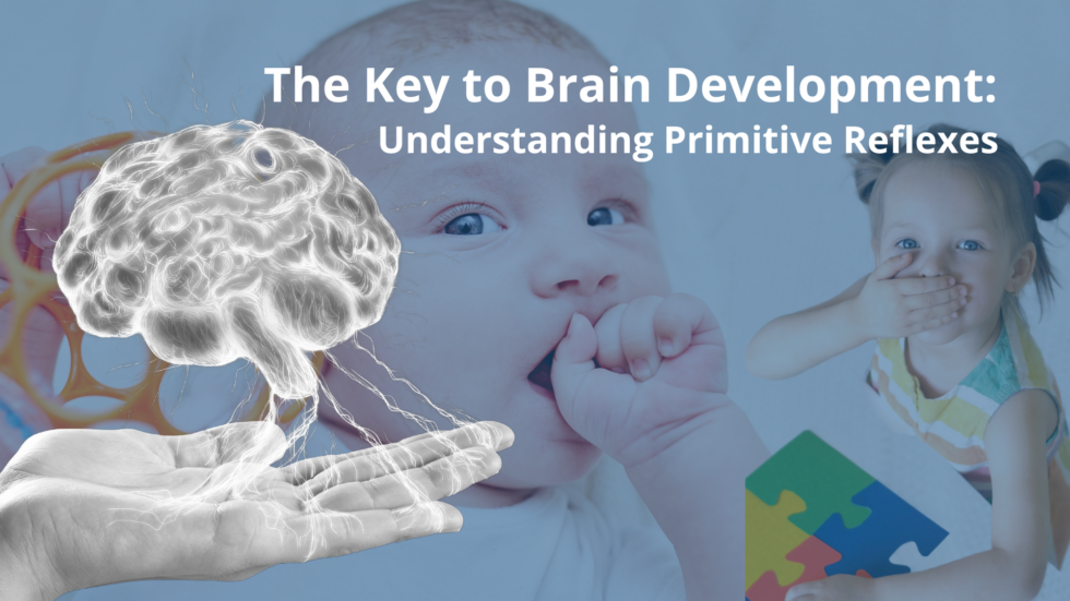 The Hidden Key To Brain Development: Understanding Primitive Reflexes ...